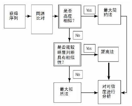 图片[3]-系统发育树（Phylogenetic tree）的相关记录-友沃可