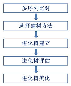 图片[2]-系统发育树（Phylogenetic tree）的相关记录-友沃可