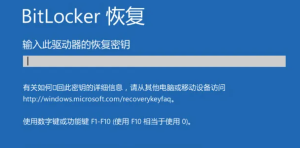 Bitlocker恢复密钥怎么找,遇到请输入恢复密钥进行恢复-友沃可
